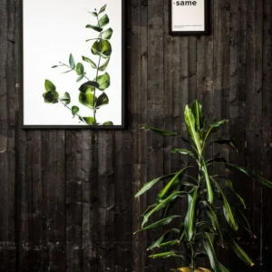 Framed Enhanced Matte Paper Poster (A1, A2)